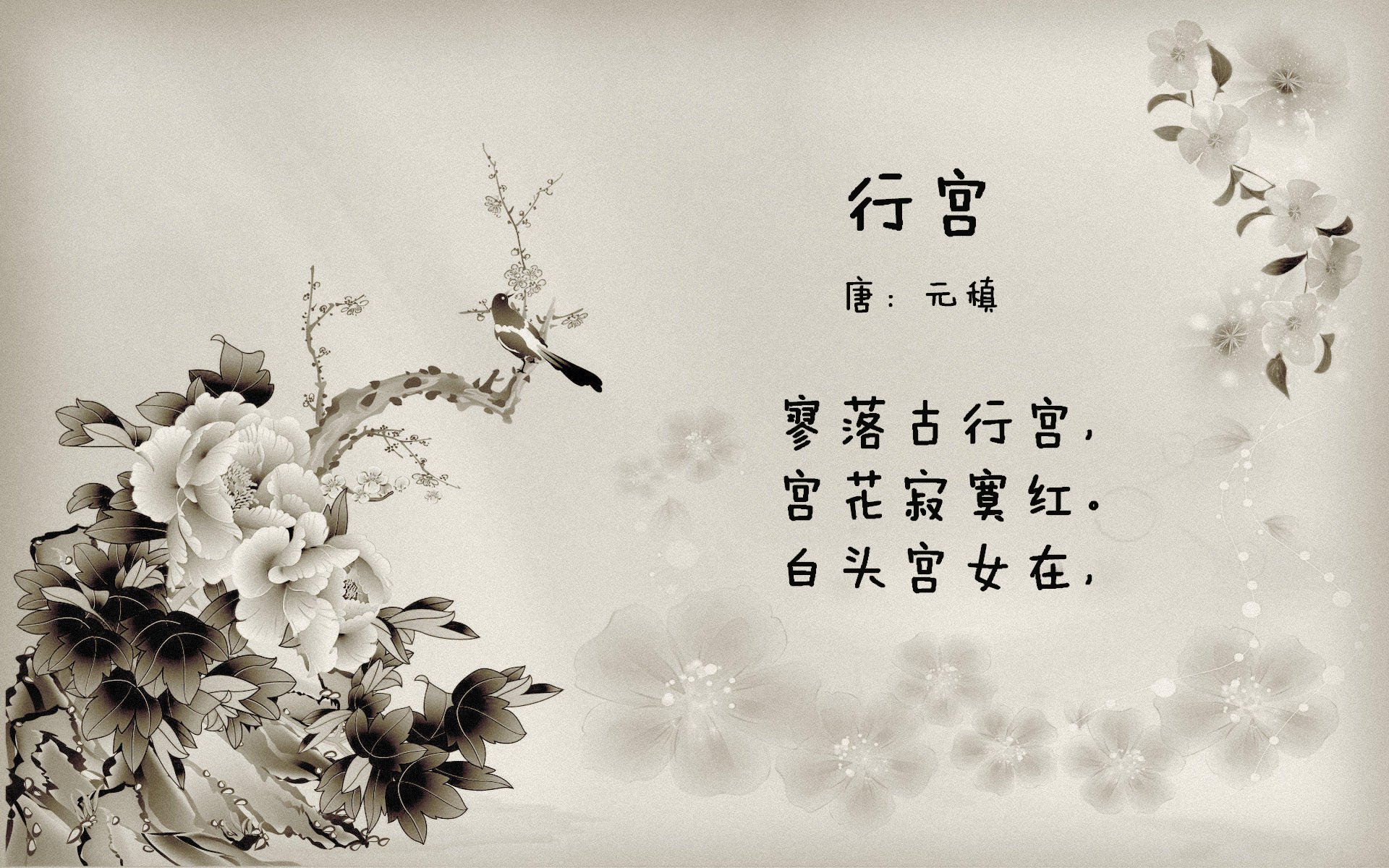 切特·霍姆格伦，当印城剧场亮起聚光灯