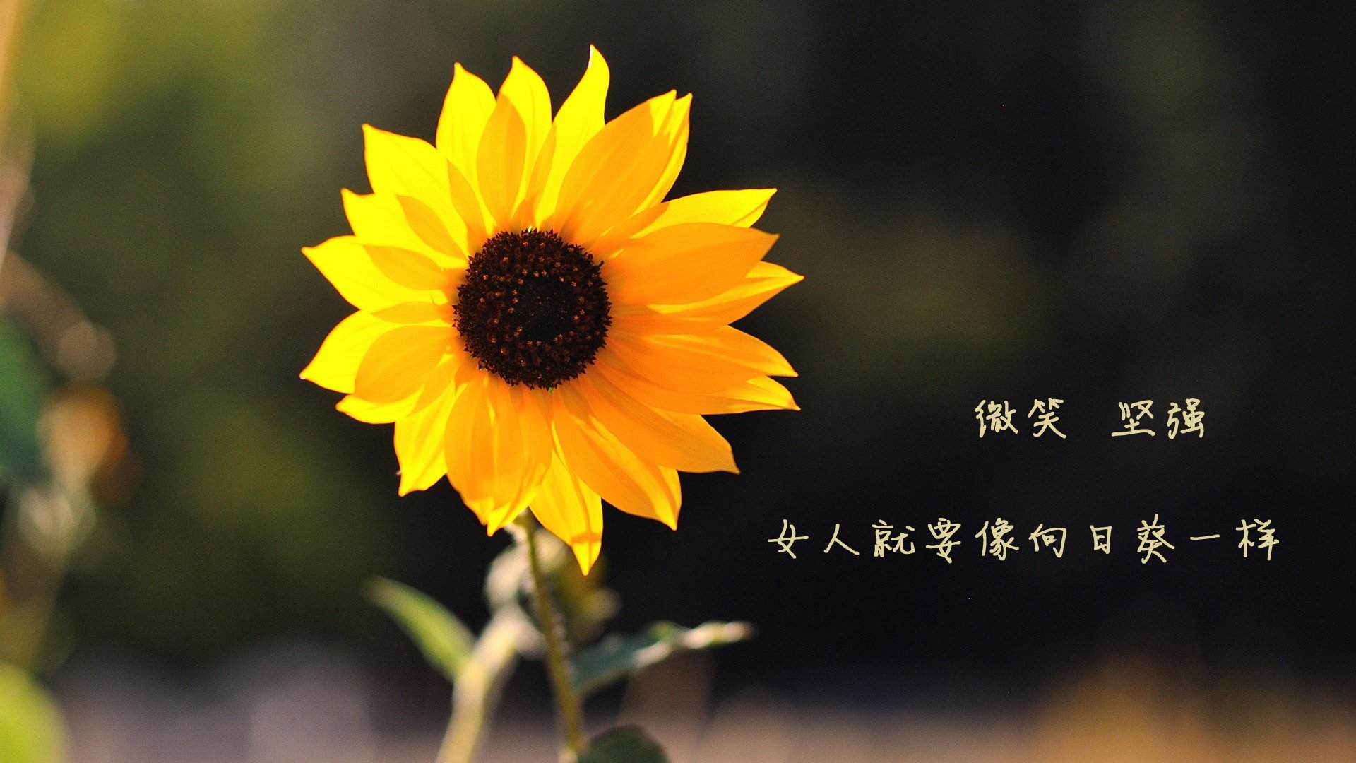 独一无二的征服,西甲国家德比之夜,努涅斯进攻端无人可挡的传奇