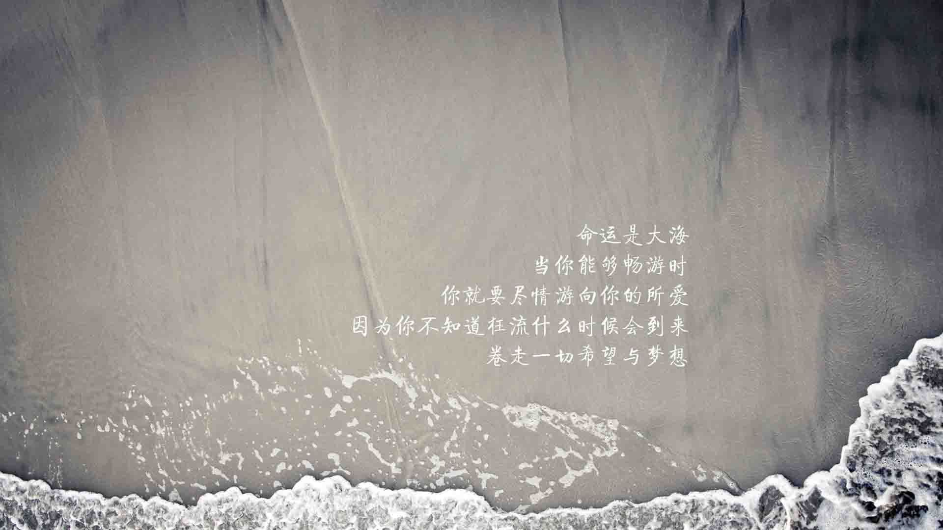 浪潮吞噬雄狮，勒沃库森的一波流与富安健洋的节奏枷锁