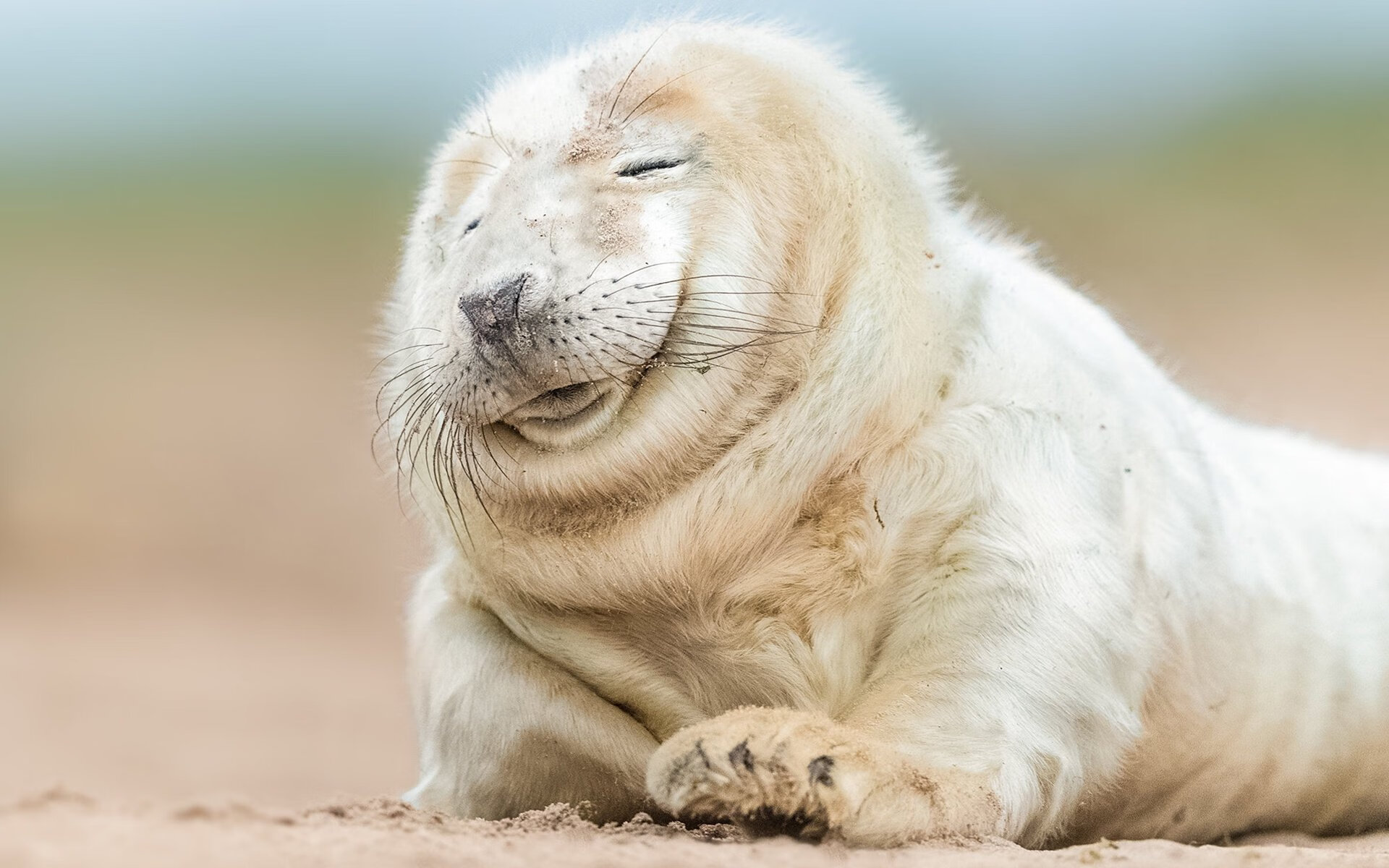 罗马铁骑与桑巴曙光，维尼修斯在2026的接管之战