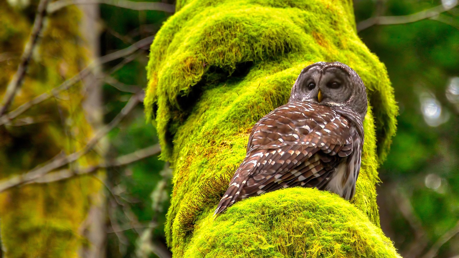 青春风暴，新生代如何改写足坛秩序