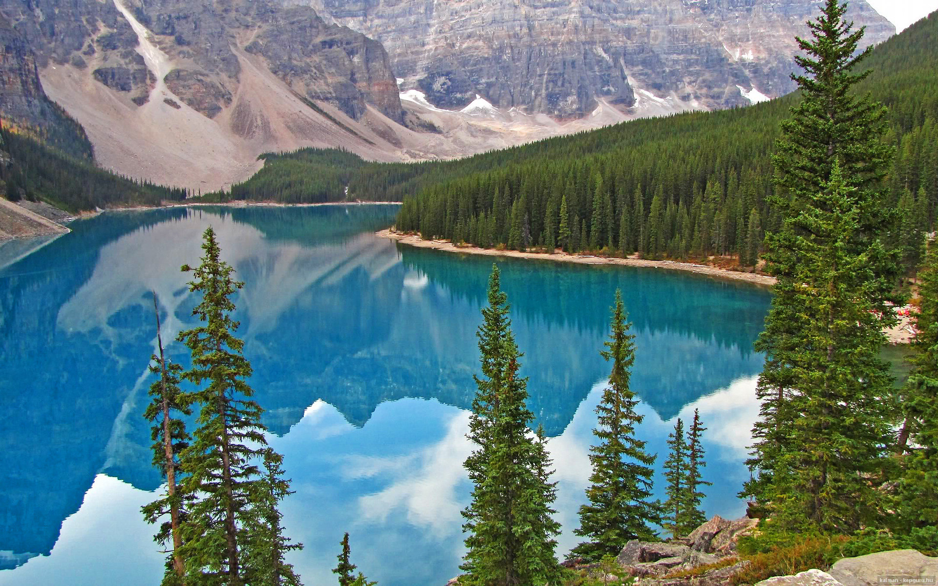 赛道上的蜂群战术，黑马黄蜂车队如何终结红色公牛王朝