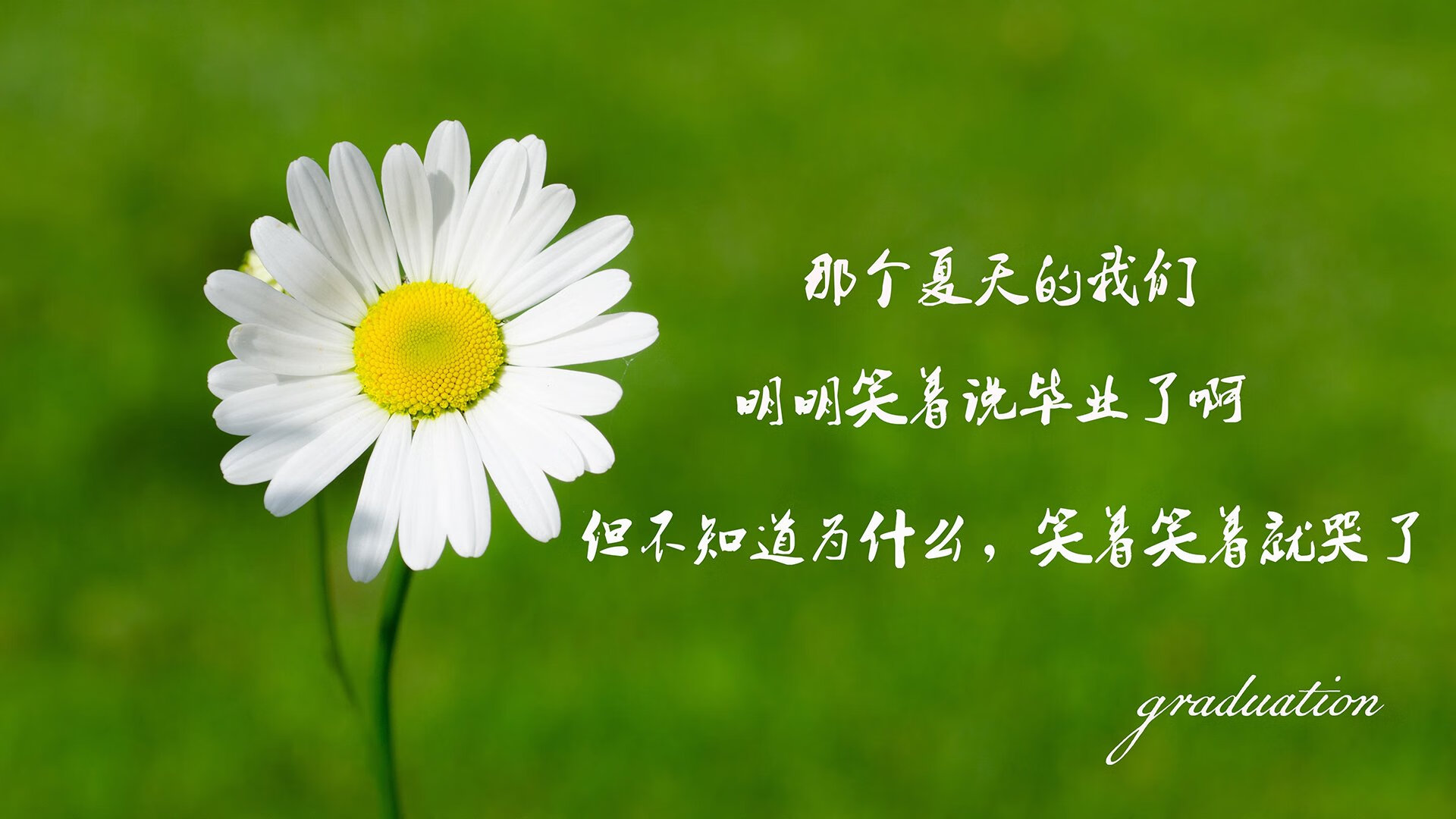 归化奇兵，2026世界杯四分之一决赛，登贝莱的致命弧线撕裂德意志战车