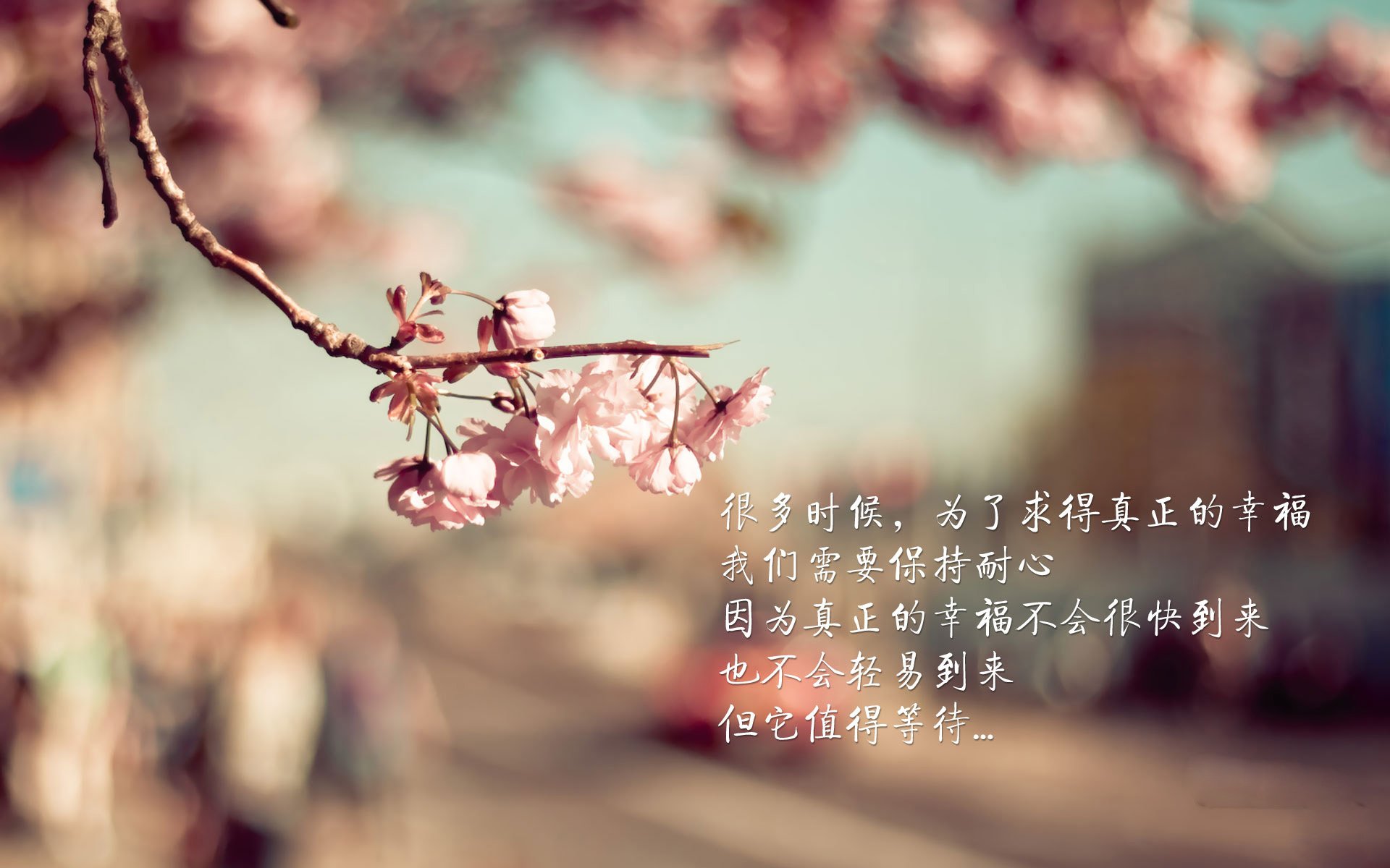 秘鲁旋风掀翻东欧铁骑,塔雷米独造三球,闪电反击撕碎斯洛伐克防线