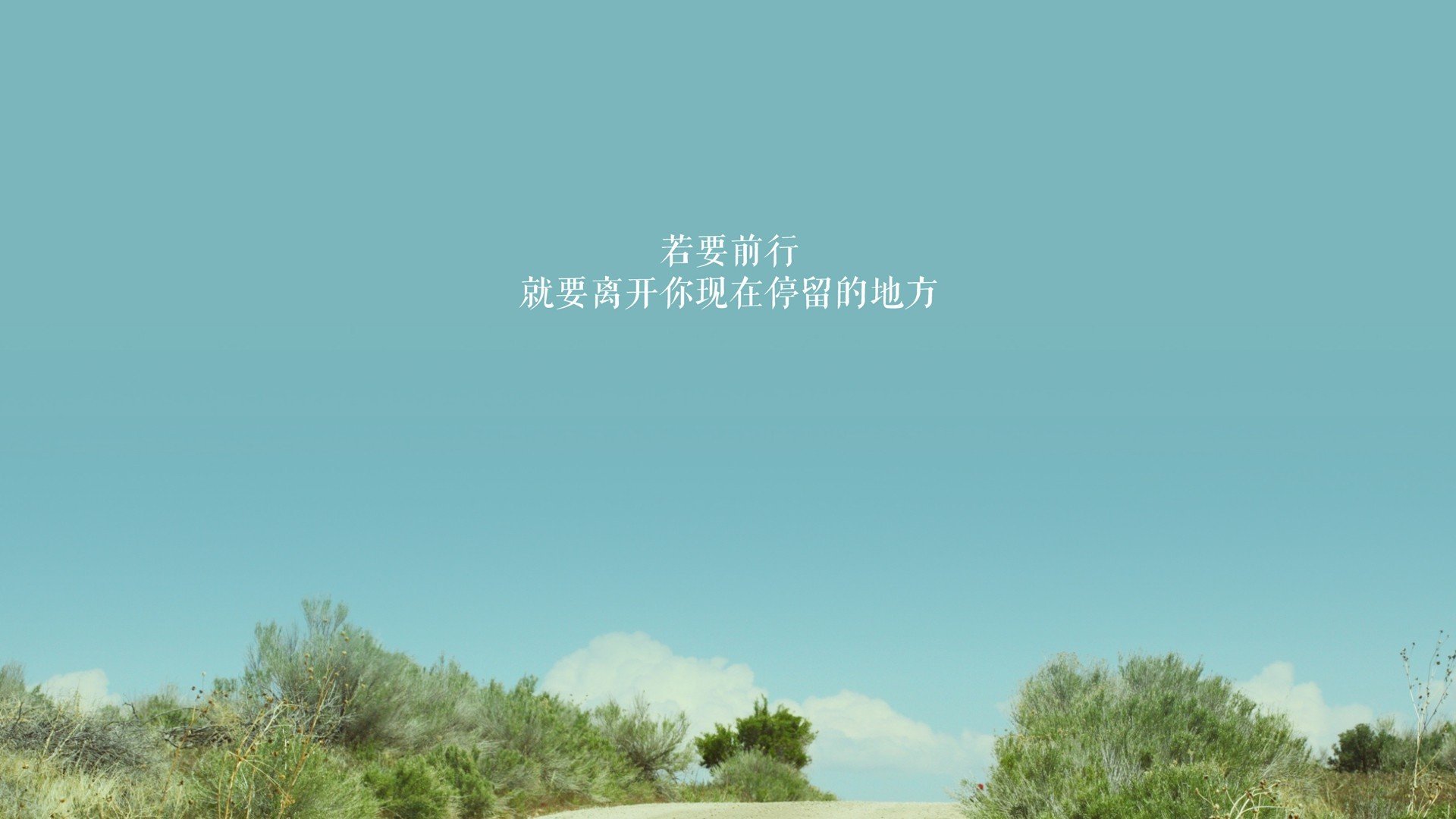 血脉与战术的双重博弈,2026世界杯B组焦点战,加维的加纳之魂与日本的无情压制